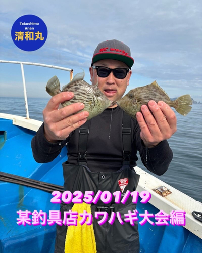 カワハギの釣果