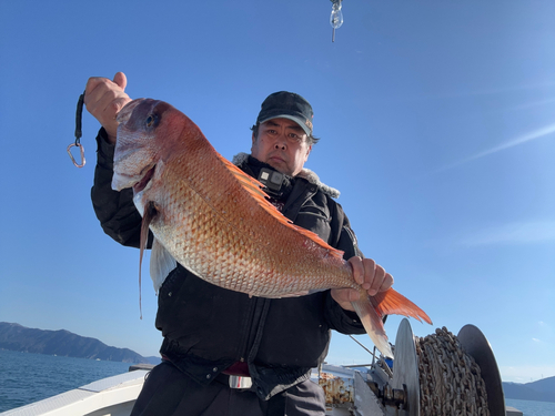 マダイの釣果