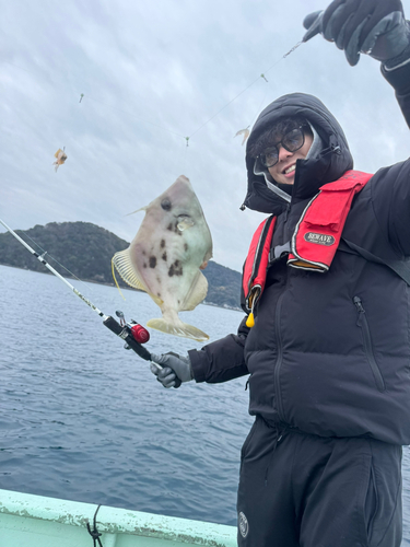 カワハギの釣果