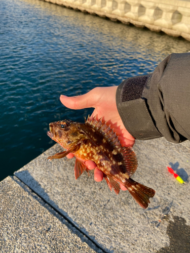 田ノ浦漁港