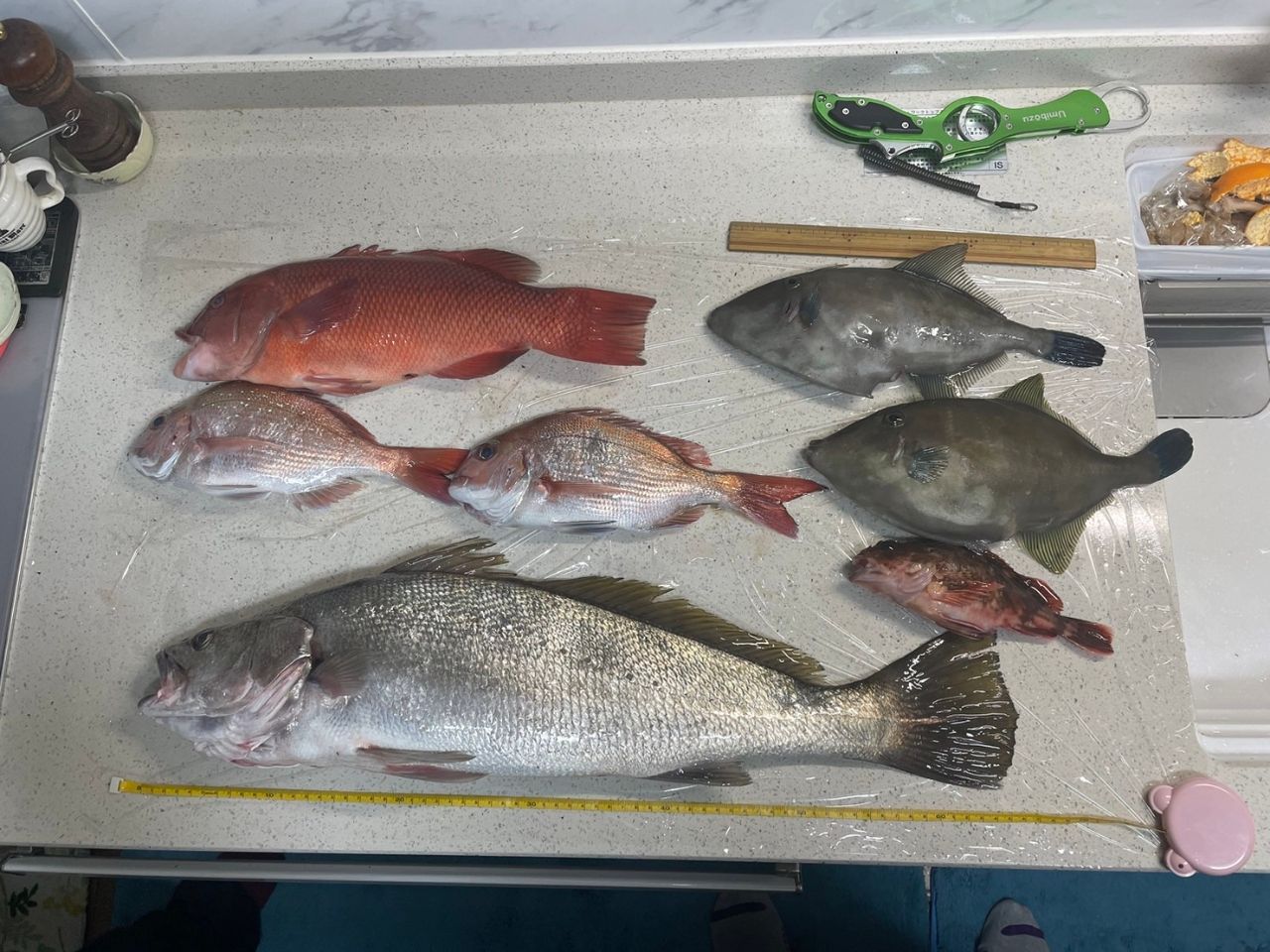 JACKALLジャッカル青帝ひとつテンヤ STPS-245ML-TT ジャッカル(JACKALL) 青帝 PRIZA(セイテイプライザ) STPC-230MH