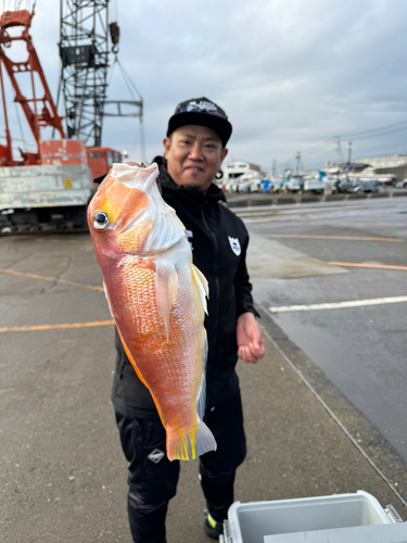 アマダイの釣果