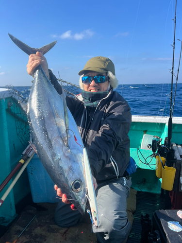 ビンチョウマグロの釣果