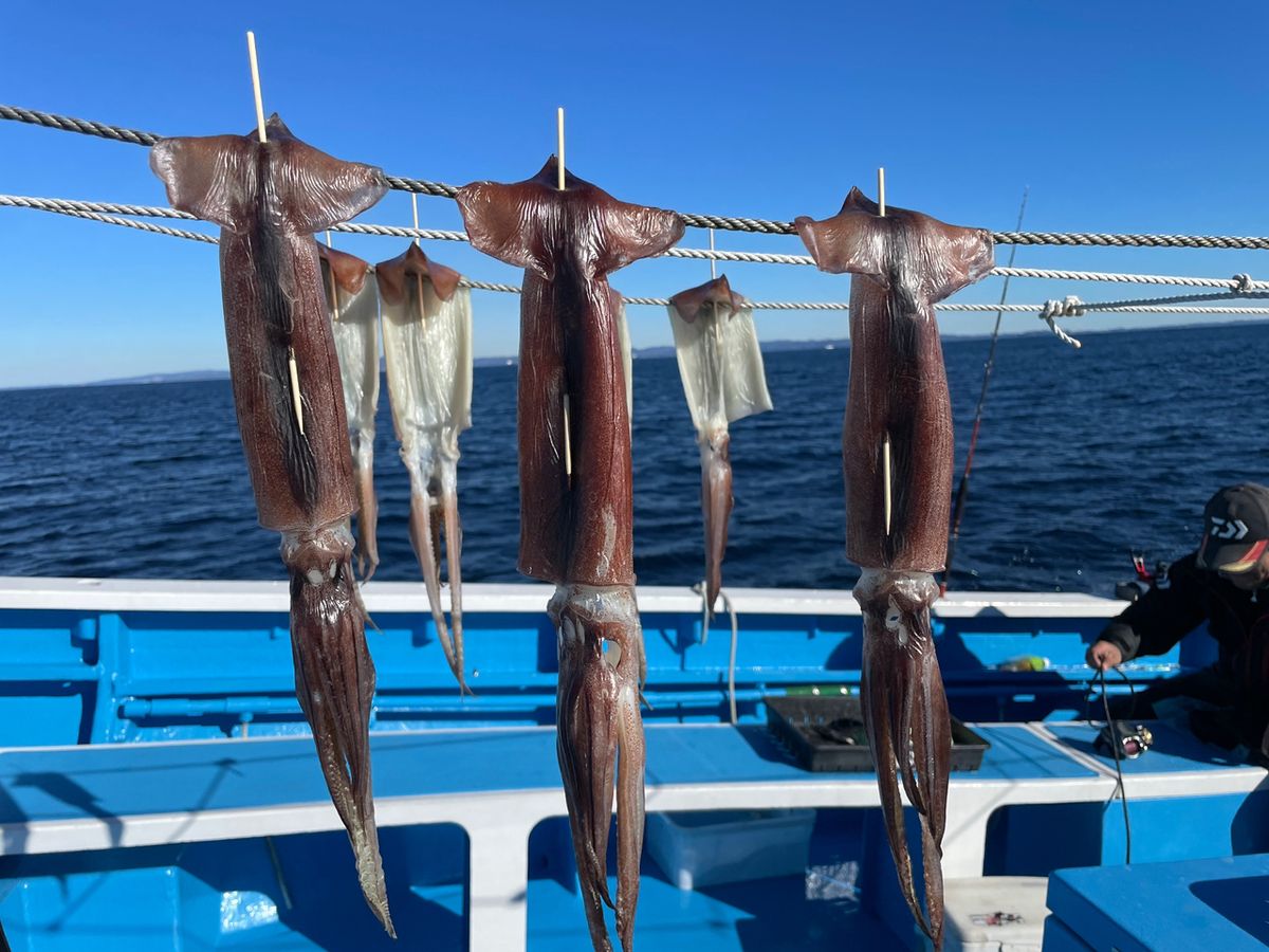 50からの釣りファンさんの釣果 2枚目の画像