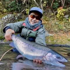 ホウライマスの釣果