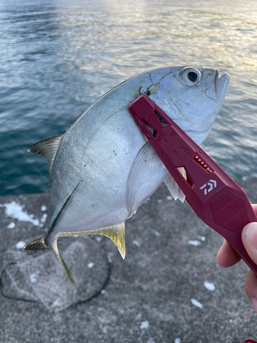 紀伊長島港