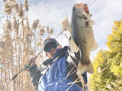 ブラックバスの釣果