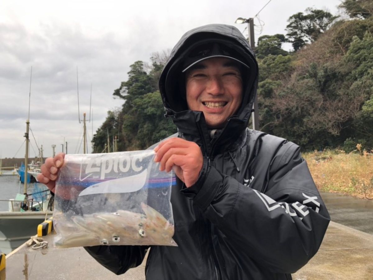 イカ時々魚さんの釣果 2枚目の画像