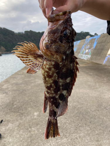 小友漁港