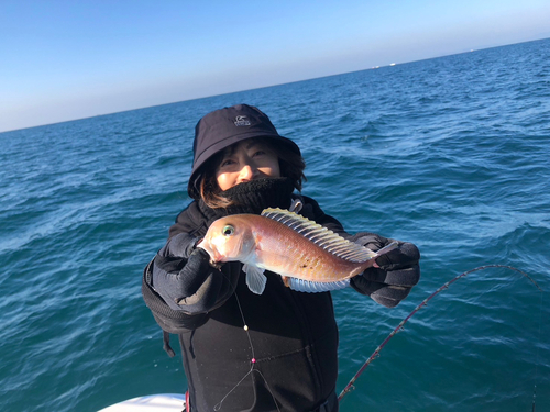 アマダイの釣果