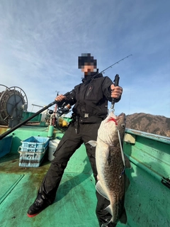 マダラの釣果