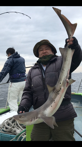 東京湾湾奥