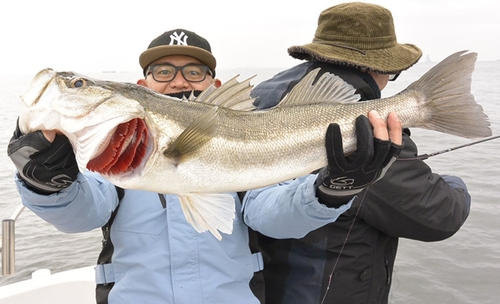 シーバスの釣果