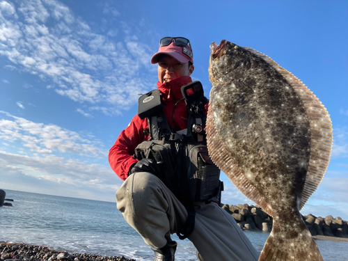 ヒラメの釣果