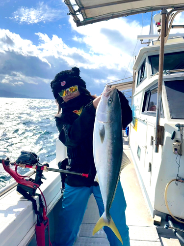 ブリの釣果