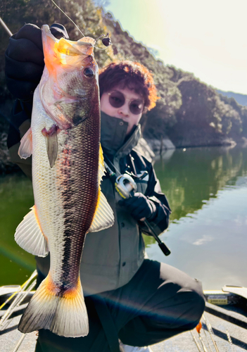 ブラックバスの釣果