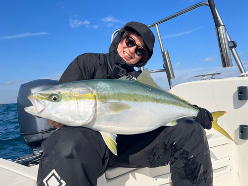 ブリの釣果