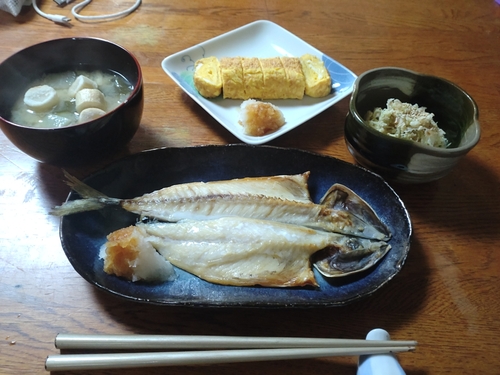 トラウトの釣果