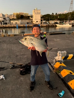 オニヒラアジの釣果