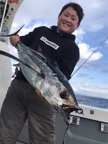 ビンチョウマグロの釣果