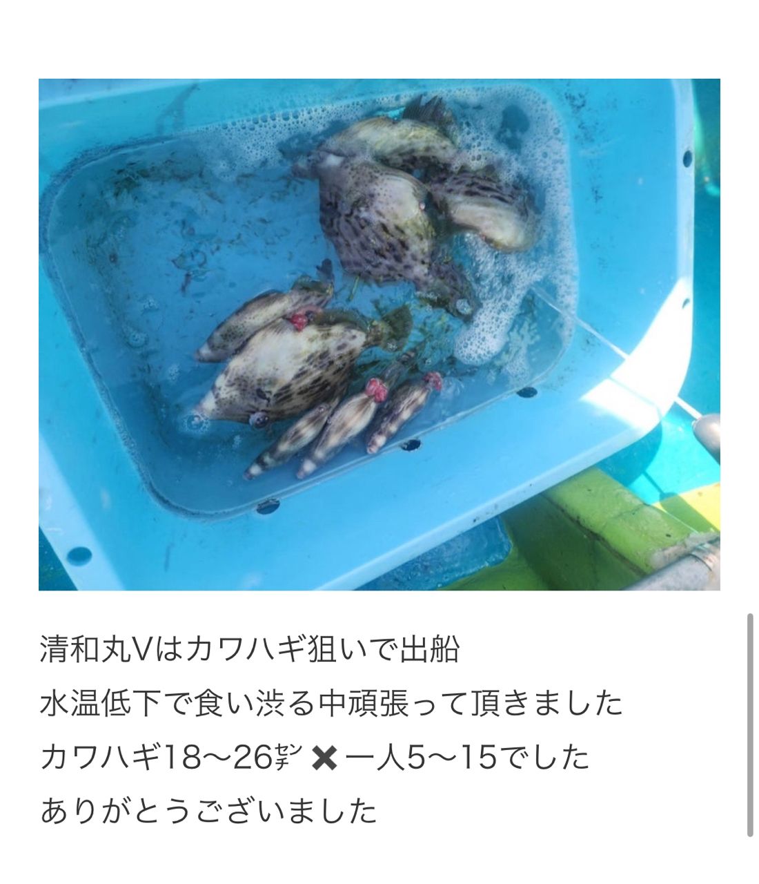 清和丸さんの釣果 3枚目の画像