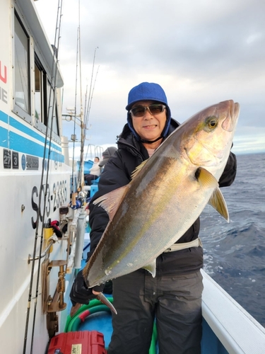 カンパチの釣果