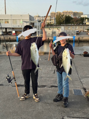 オニヒラアジの釣果