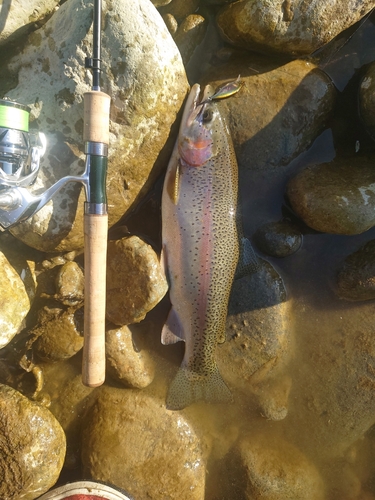 飛騨川