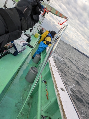 タチウオの釣果