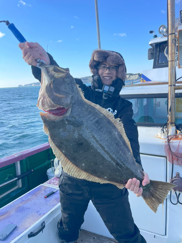 ヒラメの釣果