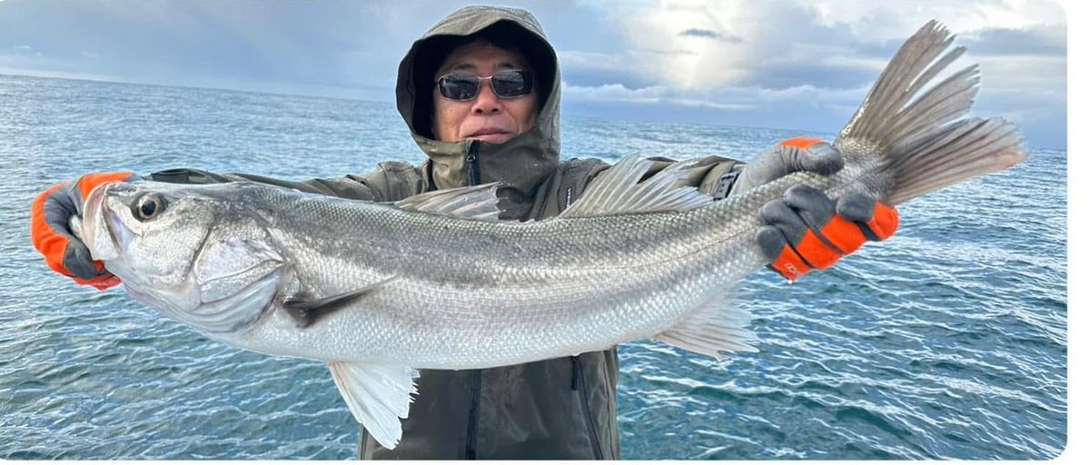 K  FUJIMURAさんの釣果 2枚目の画像