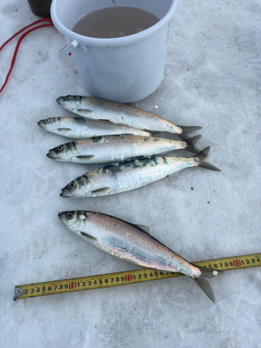 石狩湾新港