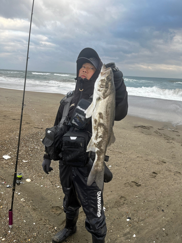 日川浜海岸