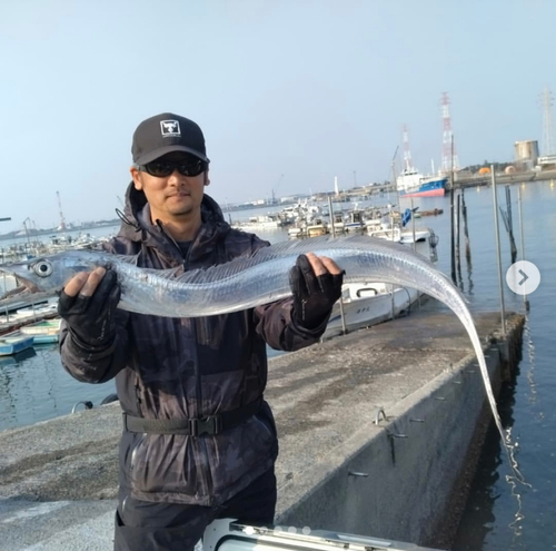 タチウオの釣果