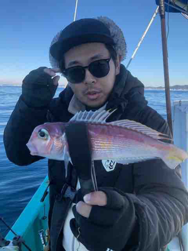 アカアマダイの釣果