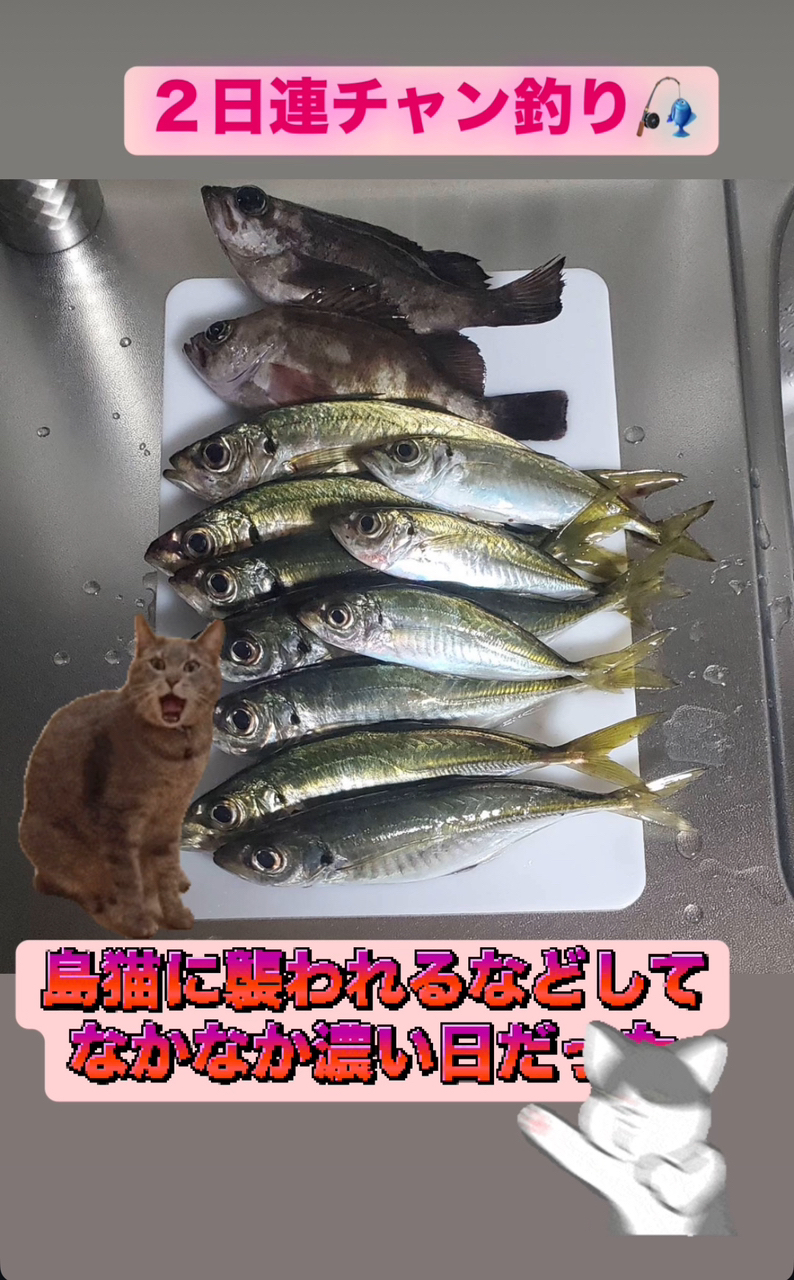 アジ