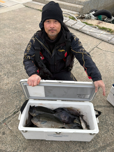 グレの釣果