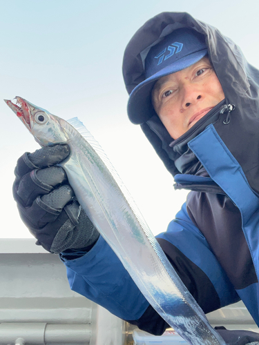 タチウオの釣果