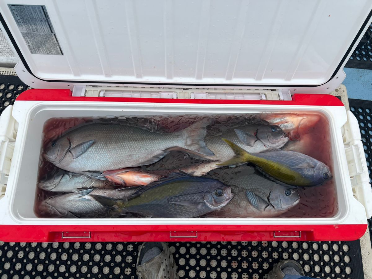 黒丸釣りクラブさんの釣果 3枚目の画像