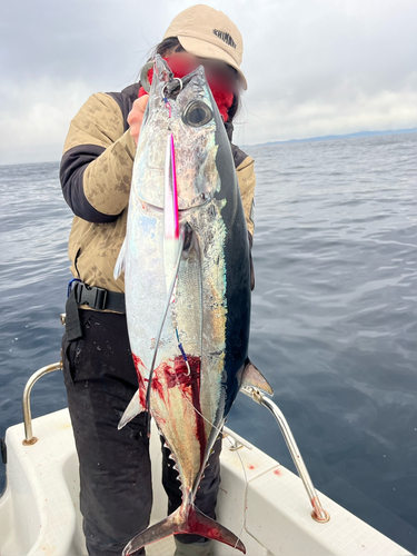 ビンチョウマグロの釣果