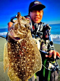 ヒラメの釣果