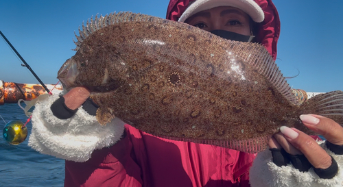 ガンゾウビラメの釣果