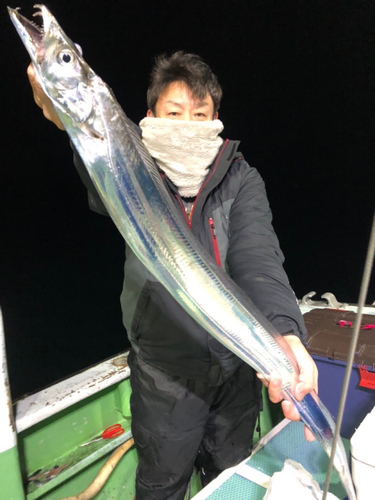 タチウオの釣果