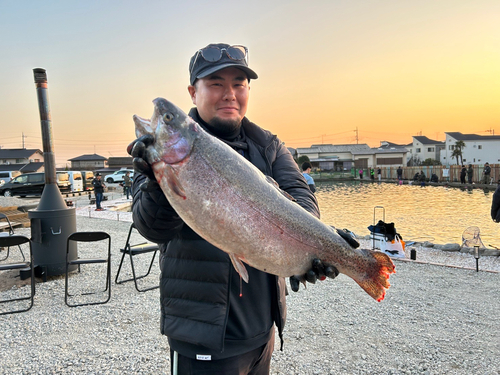 ニジマスの釣果