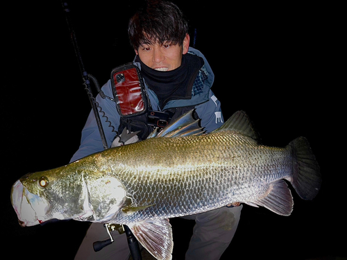 アカメの釣果