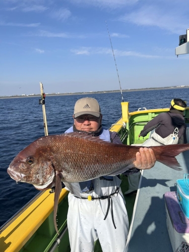 マダイの釣果