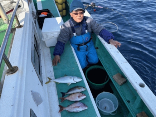 イナダの釣果