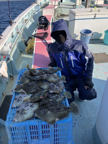 カワハギの釣果