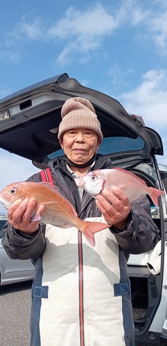 ハナダイの釣果