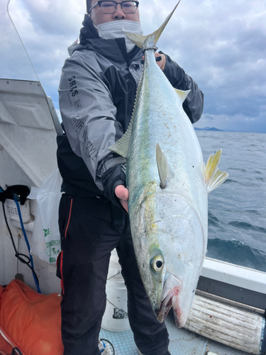 ブリの釣果